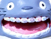 トトロ.JPG